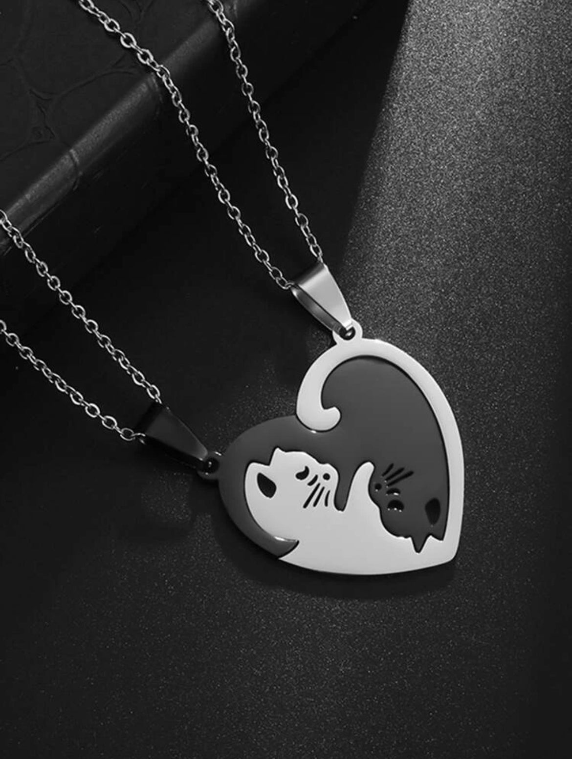 Collares Cat