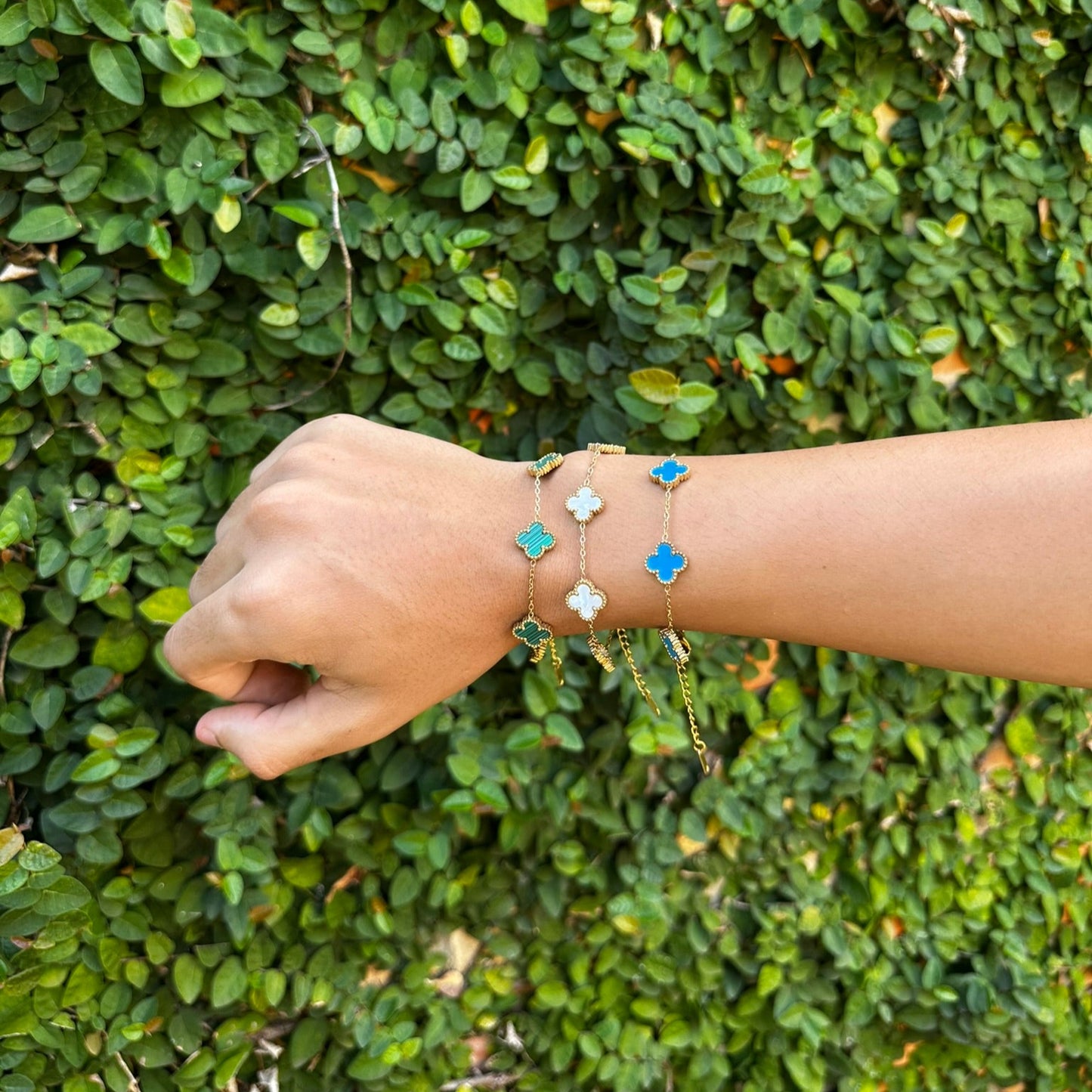 Van Cleef